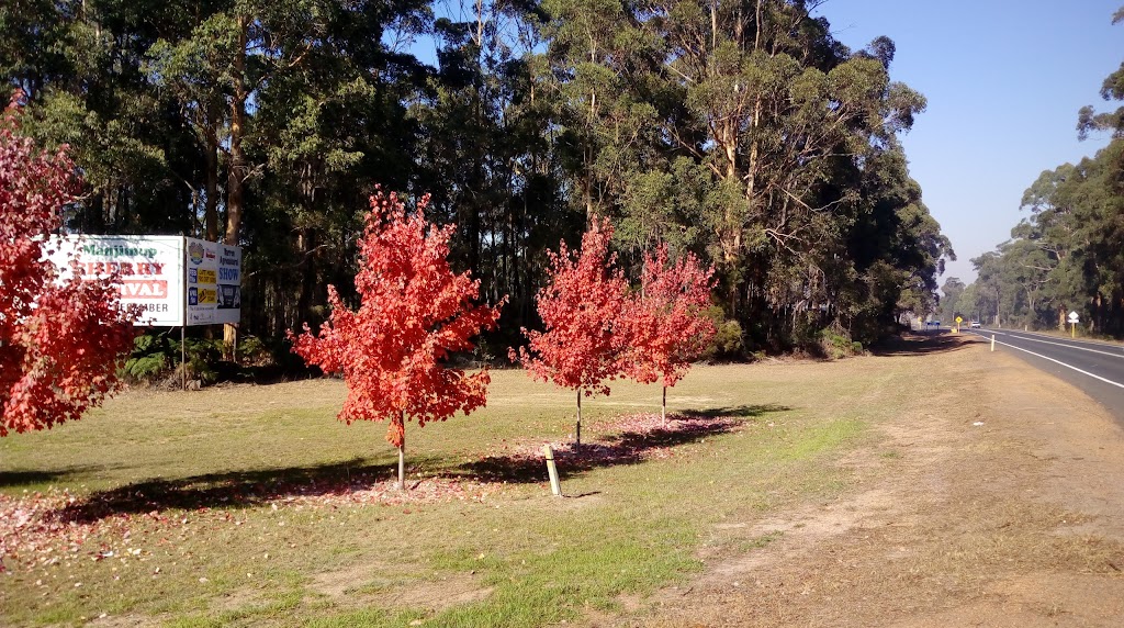 Southern Forest Machinery |  | 11320 Mottram St, S Western Hwy, Manjimup WA 6258, Australia | 0897772100 OR +61 8 9777 2100