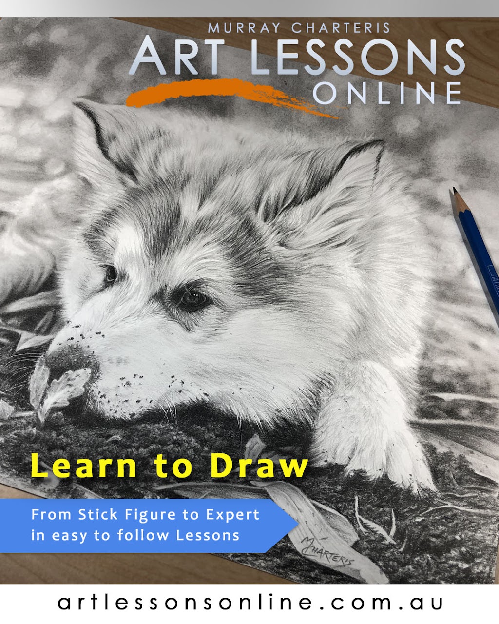 Art Lessons Online | 10-12 Bullock Wagon Cres, New Beith QLD 4124, Australia | Phone: 0418 744 218