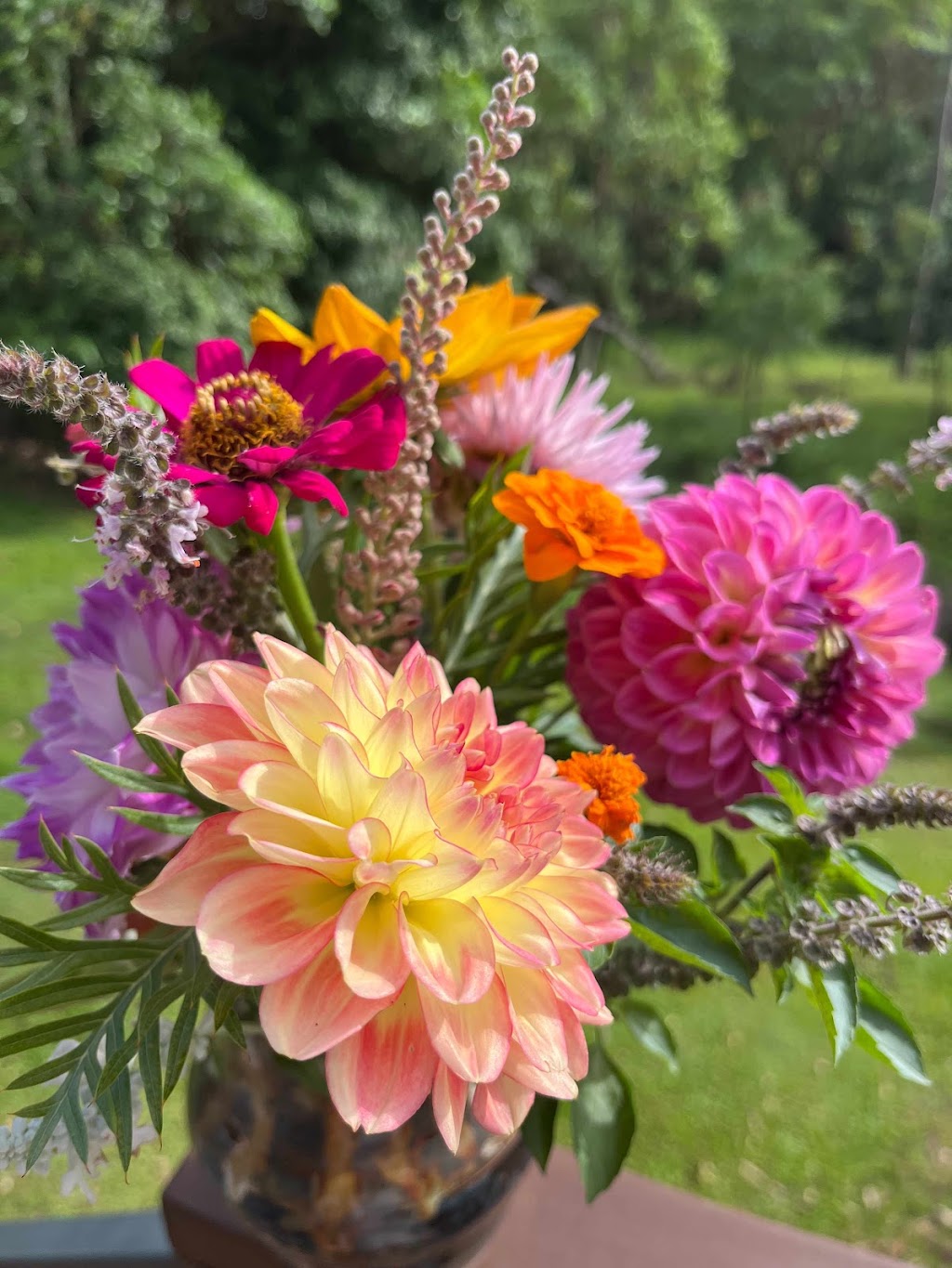 Blooms on View Flower Farm | 2299 Mount Mee Rd, Ocean View QLD 4521, Australia | Phone: 0434 828 825