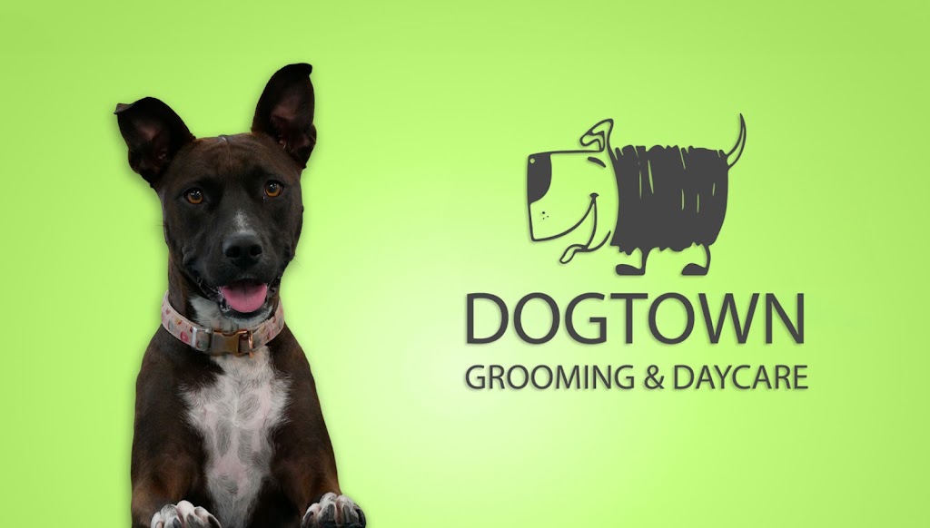 DogTown Grooming & Day Care | 650 South Rd, Moorabbin VIC 3189, Australia | Phone: 0449 894 332