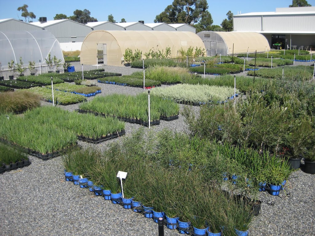 Edinburgh Parks Nursery (Wholesale only) | 66-68 West Ave, Edinburgh SA 5111, Australia | Phone: 0438 895 160