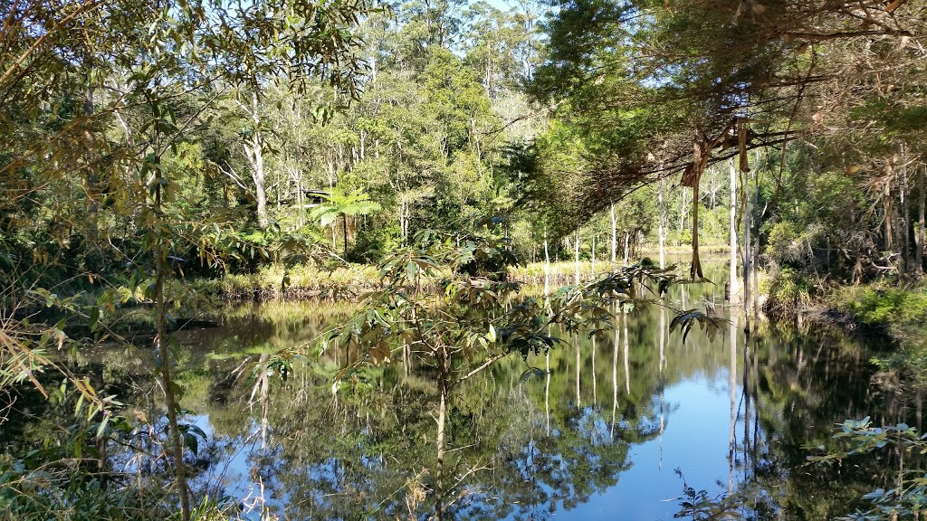 Maroochy Bushland Botanic Garden | park | 51 Palm Creek Rd, Tanawha QLD 4554, Australia | 0754757272 OR +61 7 5475 7272