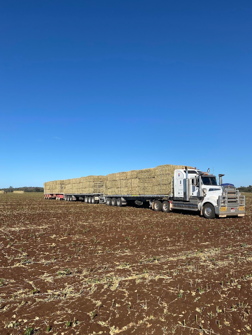 Mifsud Contracting Services Pty Ltd | 15701 Gregory Hwy, Clermont QLD 4721, Australia | Phone: (07) 4028 4184