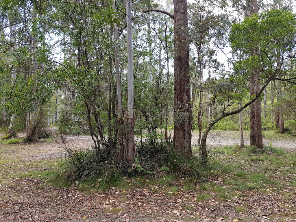 Brushy Mountain campground | campground | Loop Walk, Forbes River NSW 2446, Australia | 0265823355 OR +61 2 6582 3355