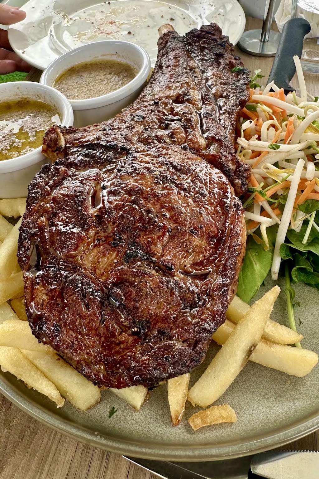 Alleygators | 15 Bienvenue Dr, Currumbin Waters QLD 4223, Australia | Phone: (07) 5598 5228