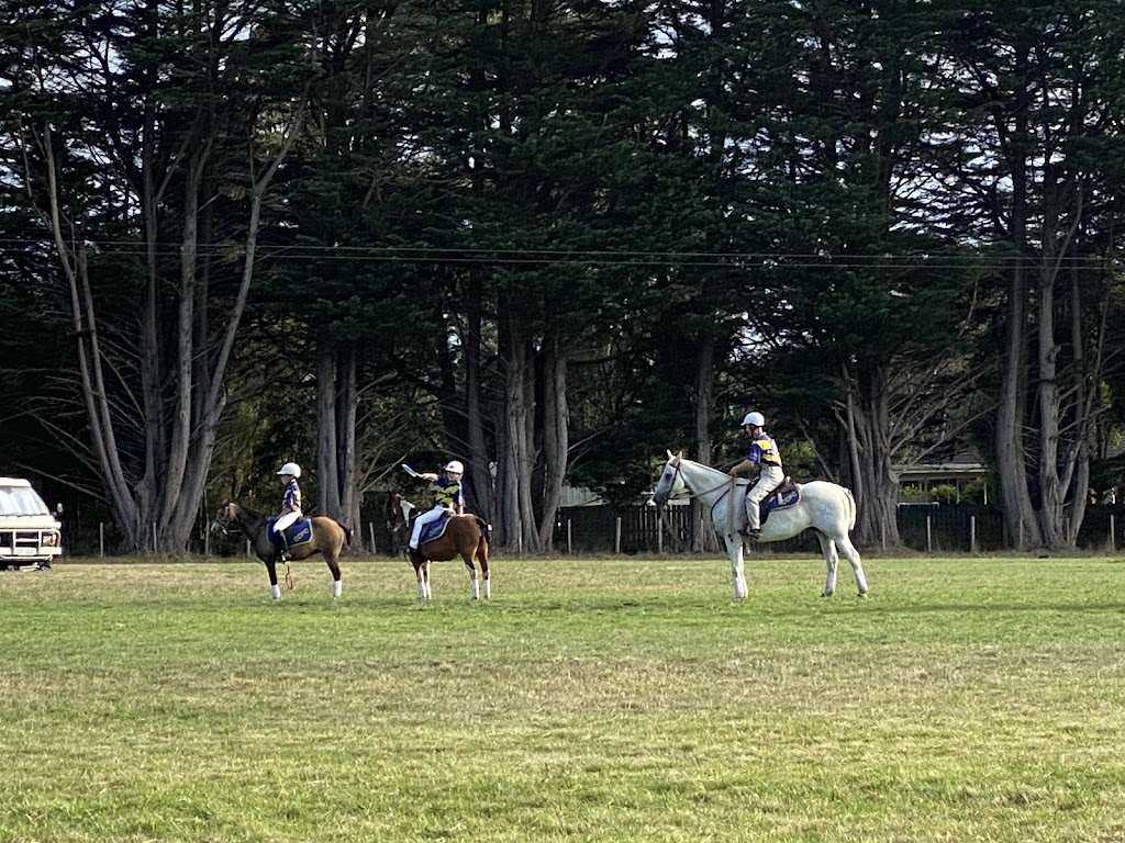 Tasmanian Horse Transport | Brooklyn, 1134 Melrose Rd, Lower Barrington TAS 7306, Australia | Phone: 0428 141 419