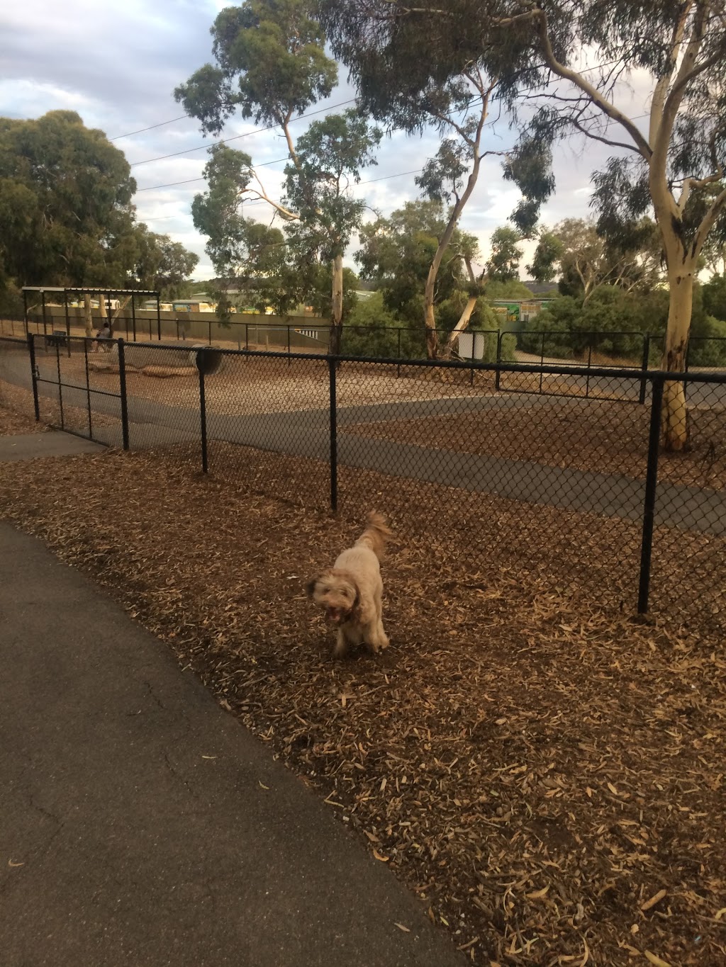 Golden Grove Dog Park | Golden Grove SA 5125, Australia | Phone: (08) 8397 7444