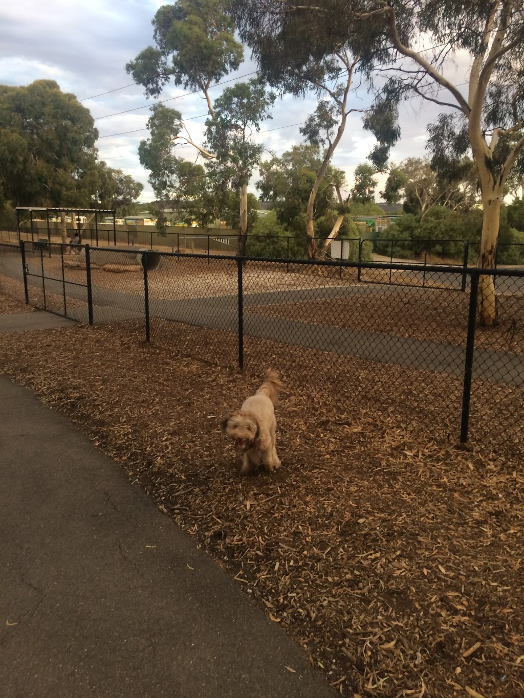 Golden Grove Dog Park | park | Golden Grove SA 5125, Australia | 0883977444 OR +61 8 8397 7444