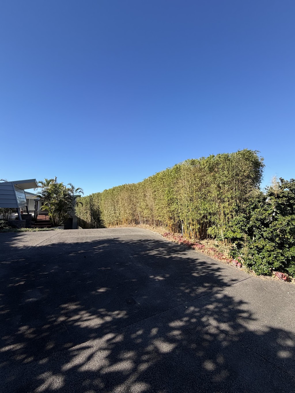 Davies tree services | 116 Bagnall Beach Rd, Corlette NSW 2315, Australia | Phone: 0432 739 097