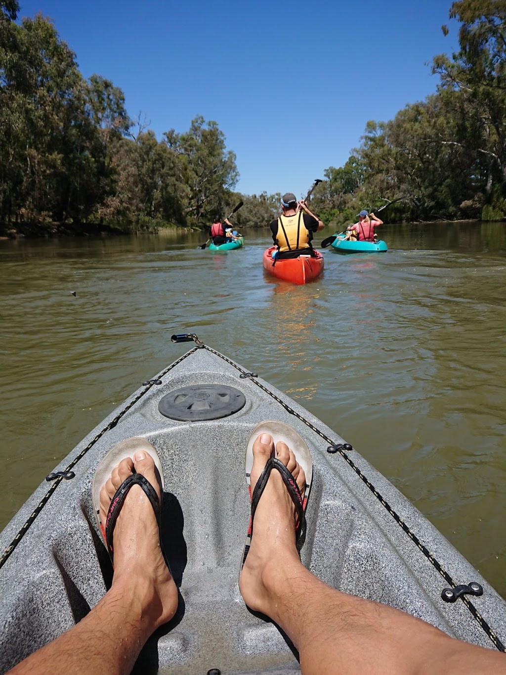 Murray River Canoe Hire | 301 Macauley St, Albury NSW 2640, Australia | Phone: 0417 691 339