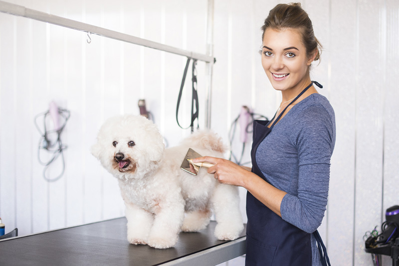 Coolum Pet Grooming |  | 169 Doonan Bridge Rd, Verrierdale QLD 4562, Australia | 0754711827 OR +61 7 5471 1827