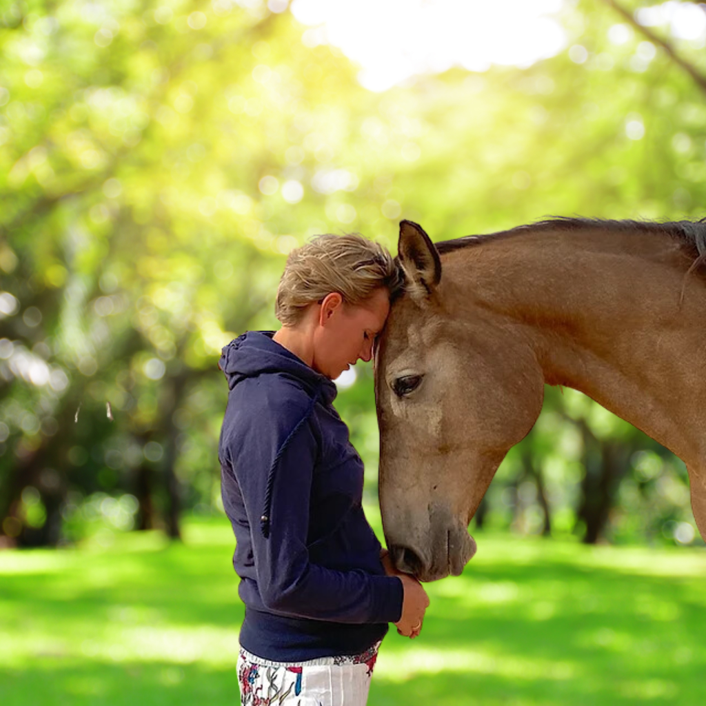 Evolve with Horse Coaching | 251 Old Hume Hwy, Glenrowan VIC 3675, Australia | Phone: 0419 513 788