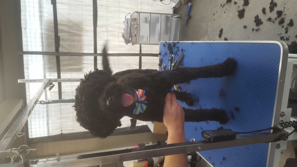 E.Ms dog Grooming | Unit 1/26 Clarence Rd, Wantirna VIC 3152, Australia | Phone: 0434 248 237