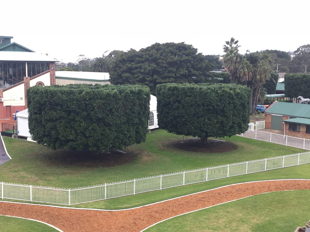 Branch Management Total Tree Services - Newcastle Tree Removal | 121 Dudley Rd, Charlestown NSW 2290, Australia | Phone: 0419 289 223