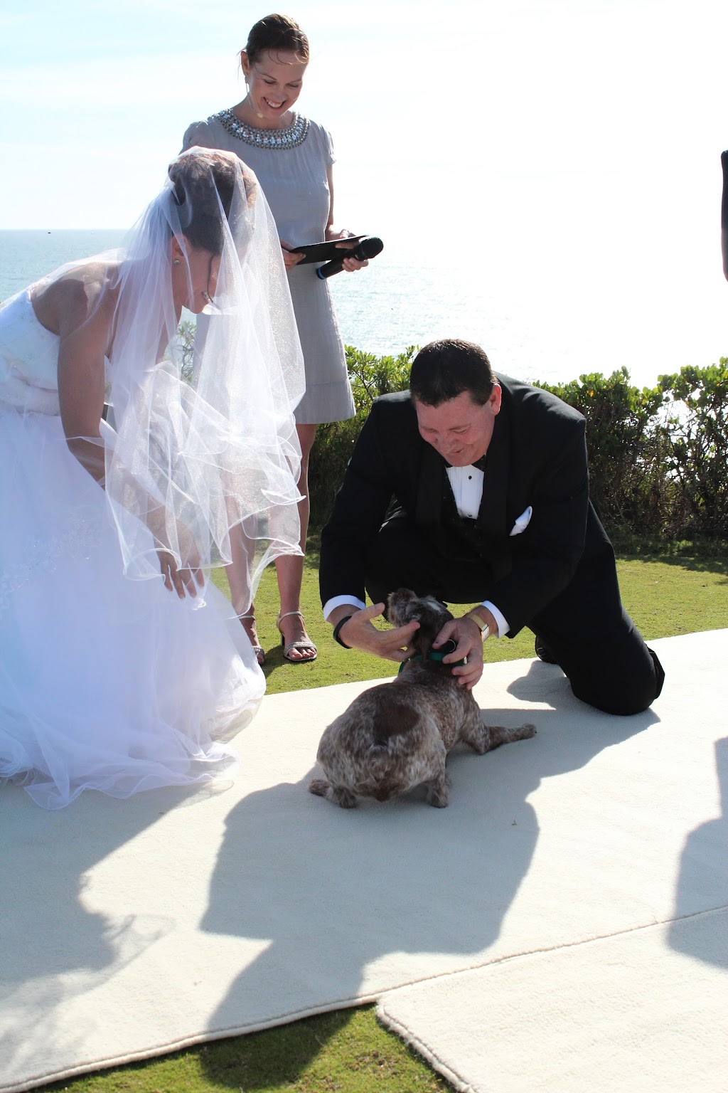 Shells Weddings ~ Civil Marriage Celebrant | 14 Success St, Madora Bay WA 6210, Australia | Phone: 0459 493 675