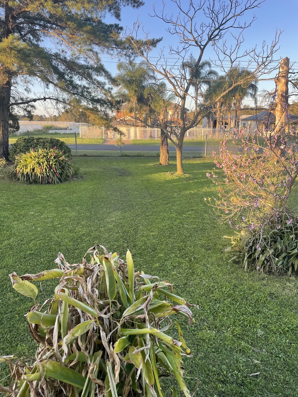 Abcree mowing | Fourth Ave, Austral NSW 2179, Australia | Phone: 0451 300 730