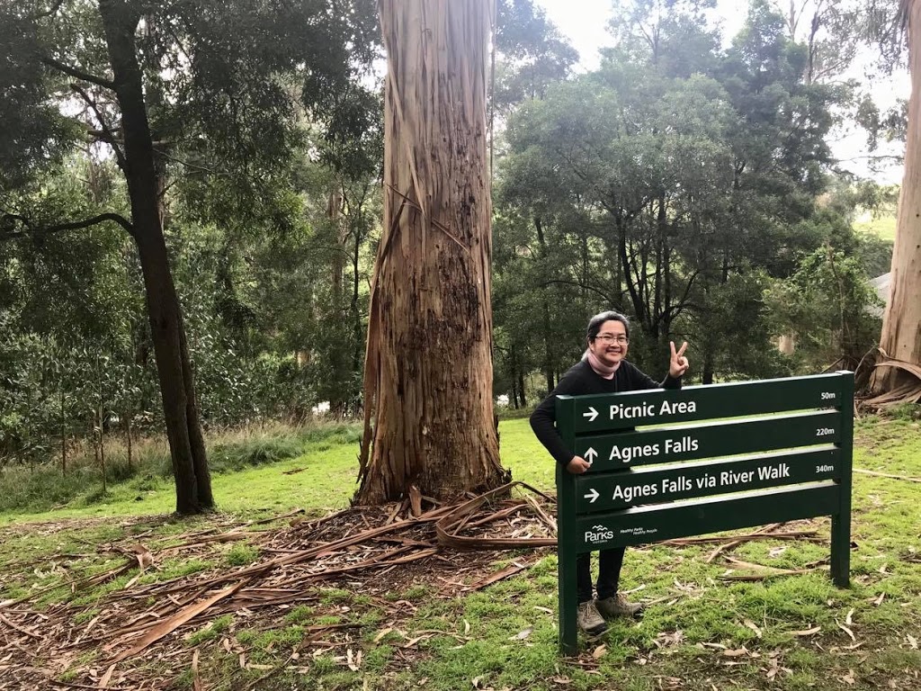 Agnes Falls | tourist attraction | 125 Agnes Falls Rd, Hazel Park VIC 3966, Australia | 131963 OR +61 131963