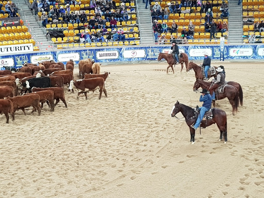 Australian Equine and Livestock Events Centre (AELEC) - 503 Goonoo ...