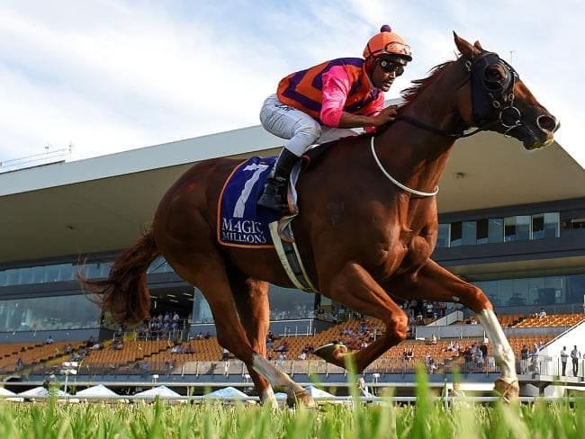 Someday Racing & Breeding | 363 Round Mountain Rd, Laravale QLD 4285, Australia | Phone: 0435 382 443