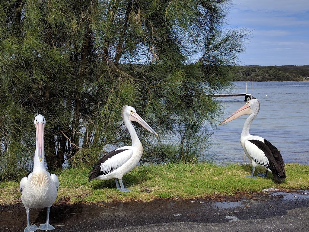 Erowal Bay Boat Ramp | park | 101 Naval Parade, Erowal Bay NSW 2540, Australia