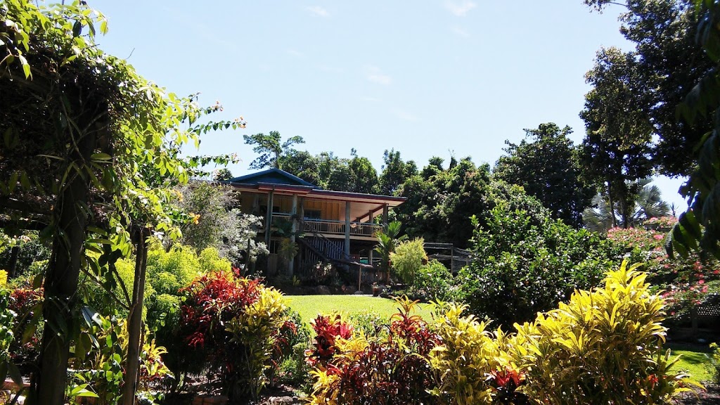 Licuala Lodge | 11 Mission Cir, Mission Beach QLD 4852, Australia | Phone: (07) 4068 8194