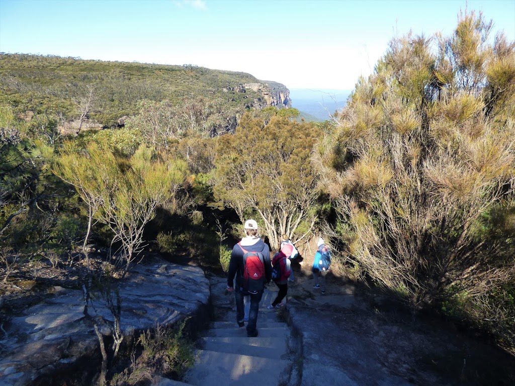 Hippocrene Falls Walking Track | park | Blue Mountains National Park NSW 2787, Australia