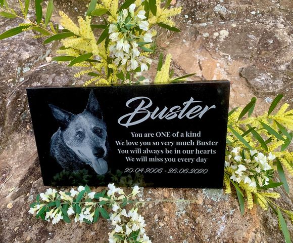 Newcastle and Hunter Pet Crematorium Bobs Farm | 462 Marsh Rd, Bobs Farm NSW 2316, Australia | Phone: (02) 4982 6395