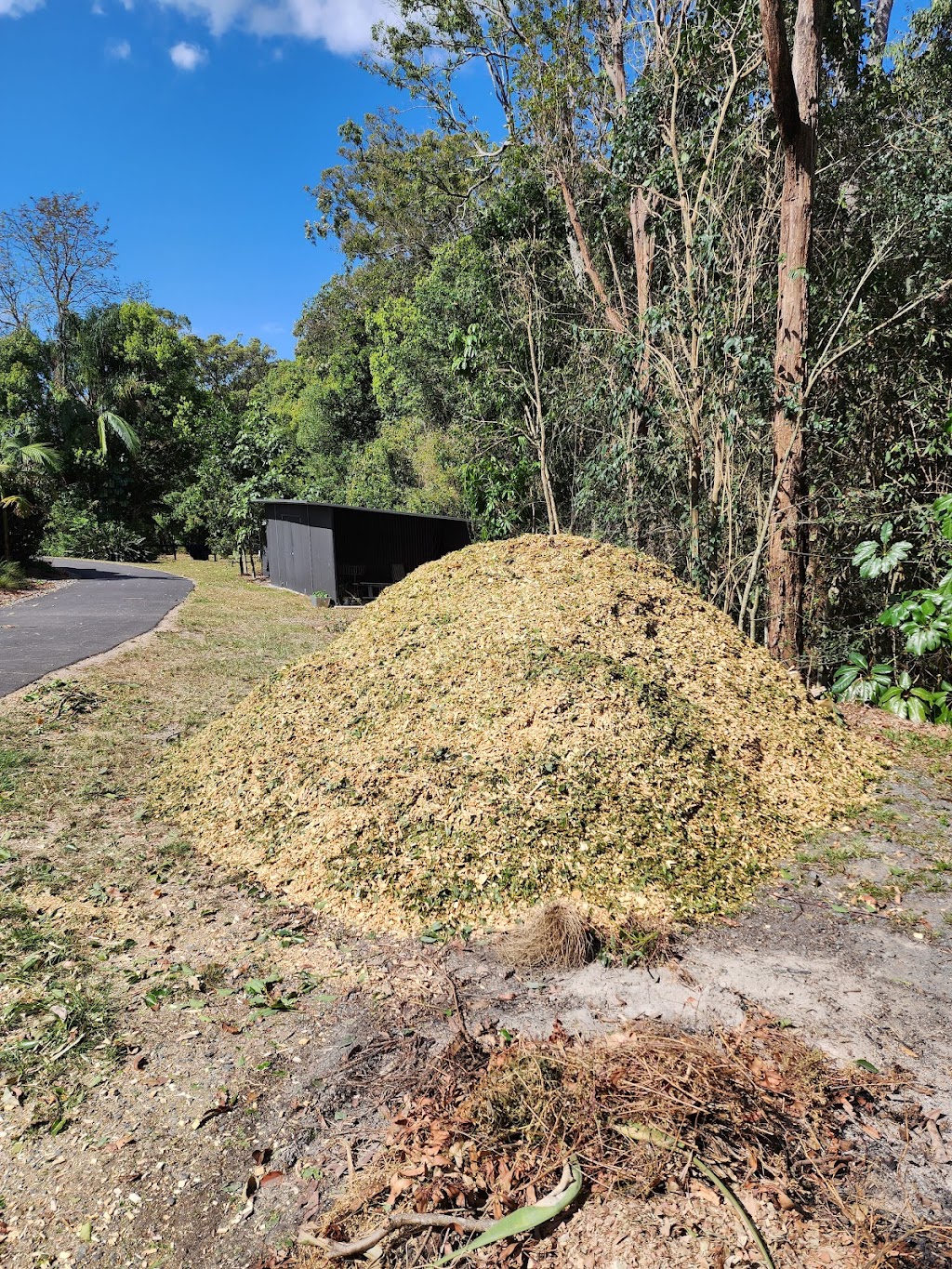 Jungle Jess Pty Ltd | 50 Garlinge Ct, Bonogin QLD 4213, Australia | Phone: 0480 473 902