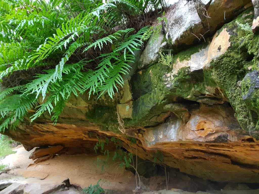 Ravensbourne National Park | Queensland, Australia