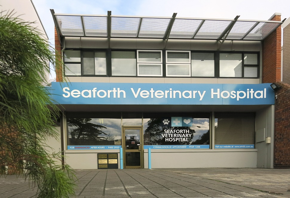 Dr Rob Miller | veterinary care | 55 Ethel St, Seaforth NSW 2092, Australia | 0299491288 OR +61 2 9949 1288