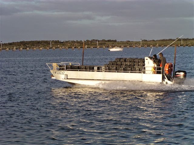 Hexcyl Systems Pty Ltd | Oyster Baskets | Shellfish Baskets | 37 Thiselton Way, Denial Bay SA 5690, Australia | Phone: (08) 8625 3927