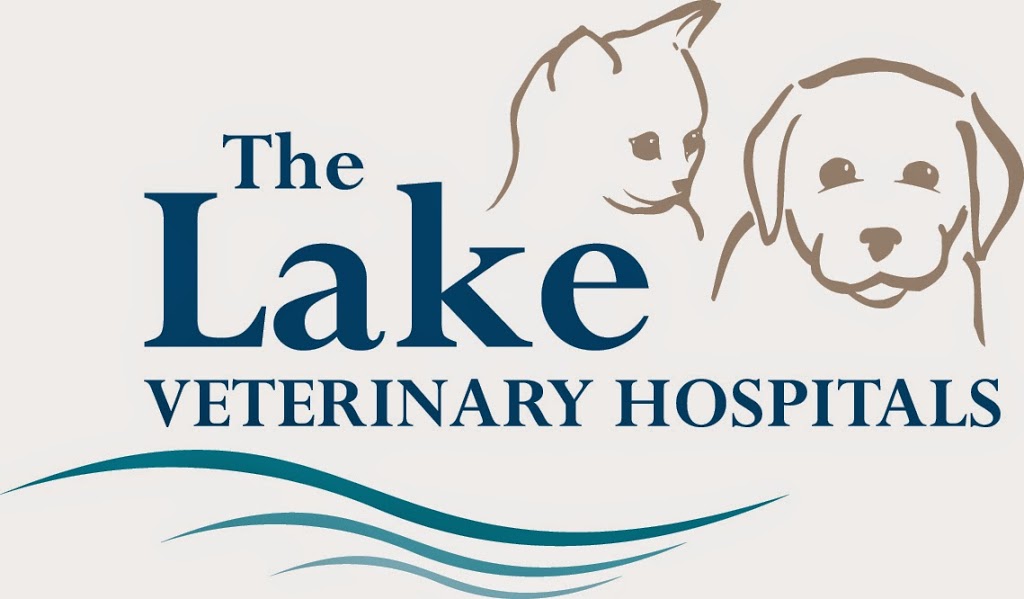 Lake Veterinary Hospital Charlestown | 6 Smith St, Charlestown NSW 2290, Australia | Phone: (02) 4943 6066