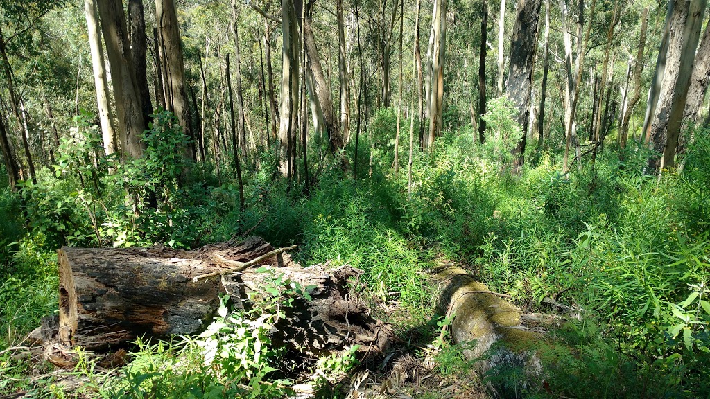 Phantom Falls | Allenvale Road, Henderson Track, Lorne VIC 3232, Australia | Phone: 13 19 63