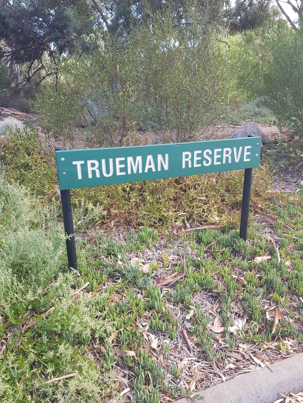 Trueman Reserve | Lockleys SA 5032, Australia