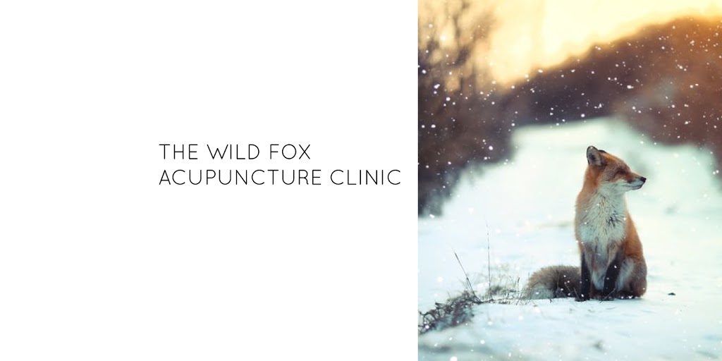 The Wild Fox Acupuncture Clinic | Unit 8/1A Banksia Dr, Byron Bay NSW 2481, Australia | Phone: 0413 936 024