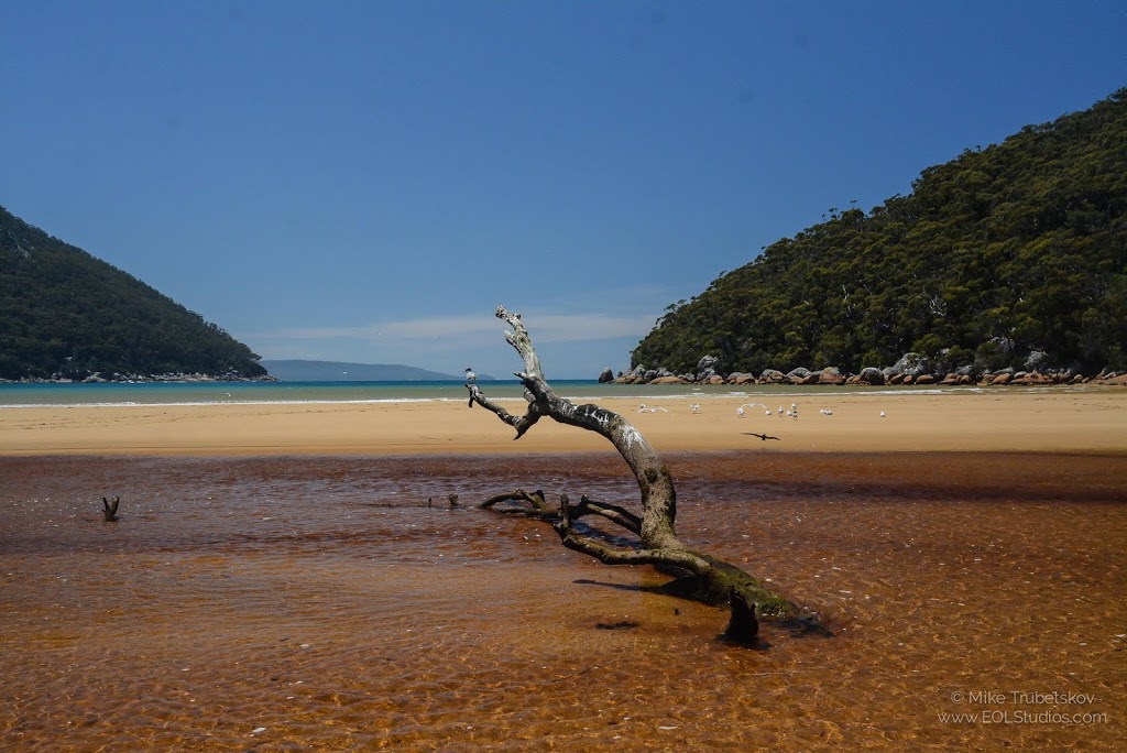 Sealers Cove | Wilsons Promontory VIC 3960, Australia