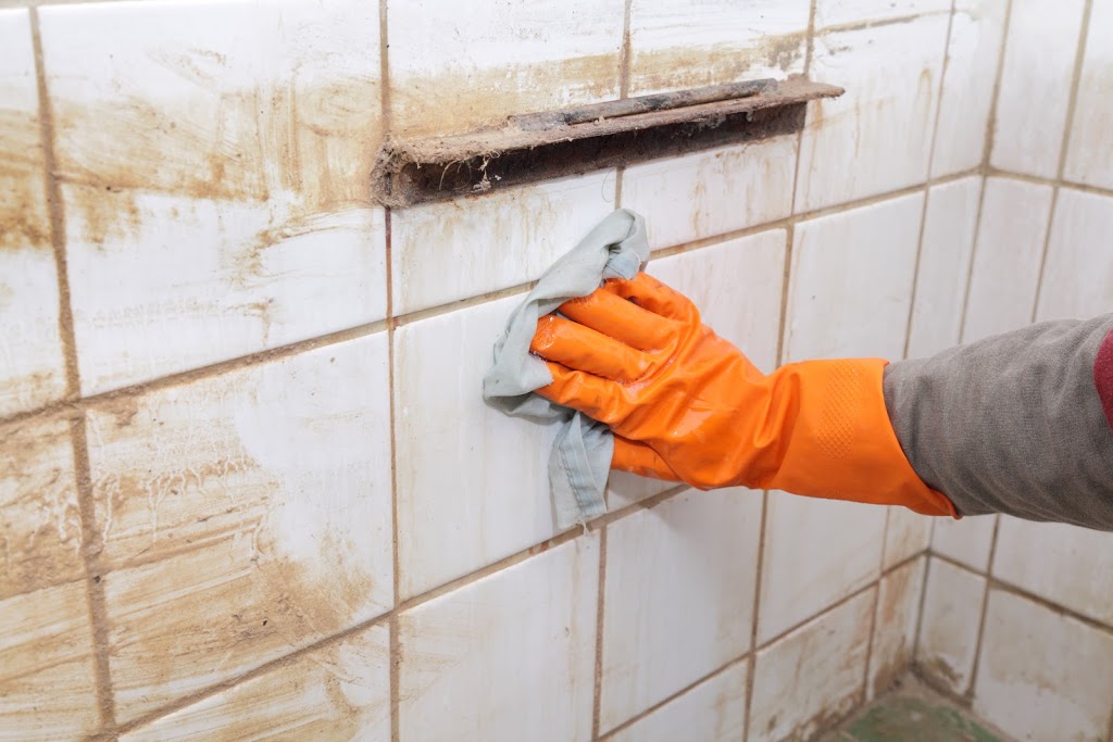 Mould Removal Peakhurst Heights | Rising damp Peakhurst Heights, Air conditioning cleaning, Air conditioning service, Peakhurst Heights NSW 2210, Australia | Phone: 0488 825 850