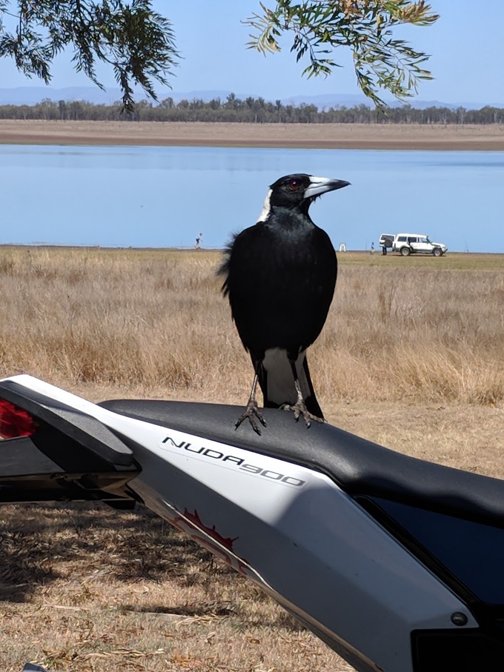 Atkinsons Dam | Atkinsons Dam QLD 4311, Australia