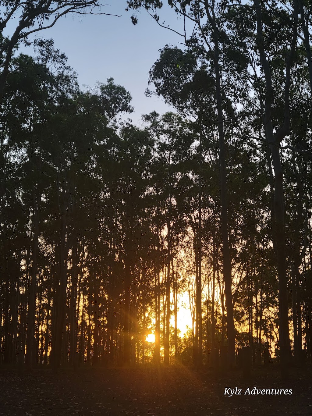 Bom Bom State Forest Campground | Bom Bom NSW 2460, Australia | Phone: (02) 9872 0111