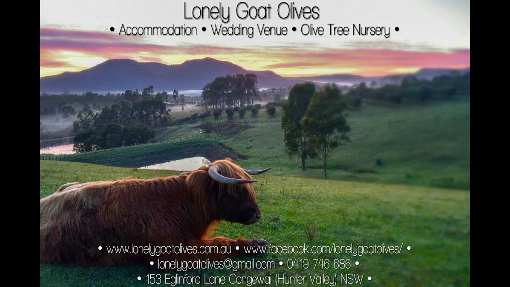 Lonely Goat Olives | lodging | 153 Eglinford Ln, Congewai NSW 2325, Australia | 0419746686 OR +61 419 746 686