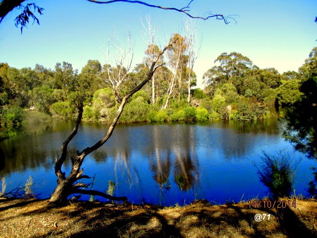 Mary Carroll Park | park | Eudoria St, Gosnells WA 6110, Australia | 0893973000 OR +61 8 9397 3000