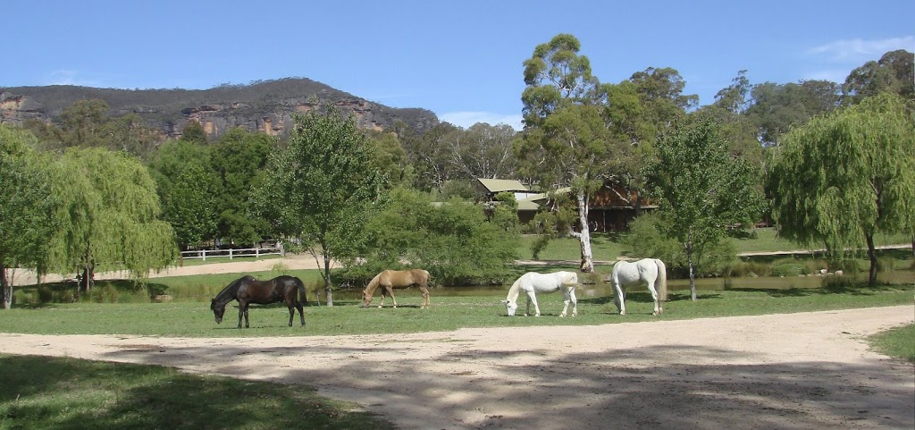 Blue Mountains Horse Riding | 993 Megalong Rd, Megalong Valley NSW 2785, Australia | Phone: (02) 4787 8188