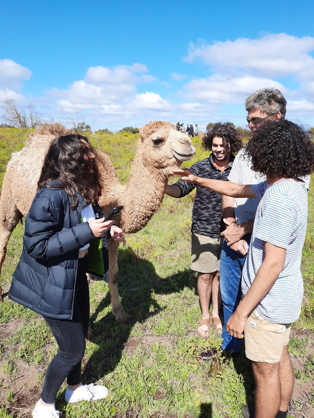 Humpalicious Camel Farm Robe | Roys La, Mount Benson SA 5275, Australia | Phone: 0423 893 541