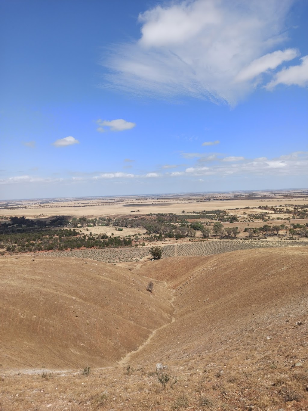 Lavender Federation Trail - Sanderston Trailhead | Three Chain Rd, Sanderston SA 5237, Australia