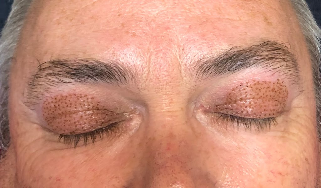 Feathered Brows + Beauty | 101 Crozier Rd, Victor Harbor SA 5211, Australia | Phone: 0438 000 855
