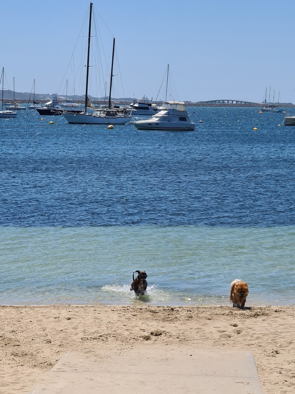 Seaside Camp for Children | corner Esplanade, 1 Hymus St, Peron WA 6168, Australia | Phone: (08) 9527 1127