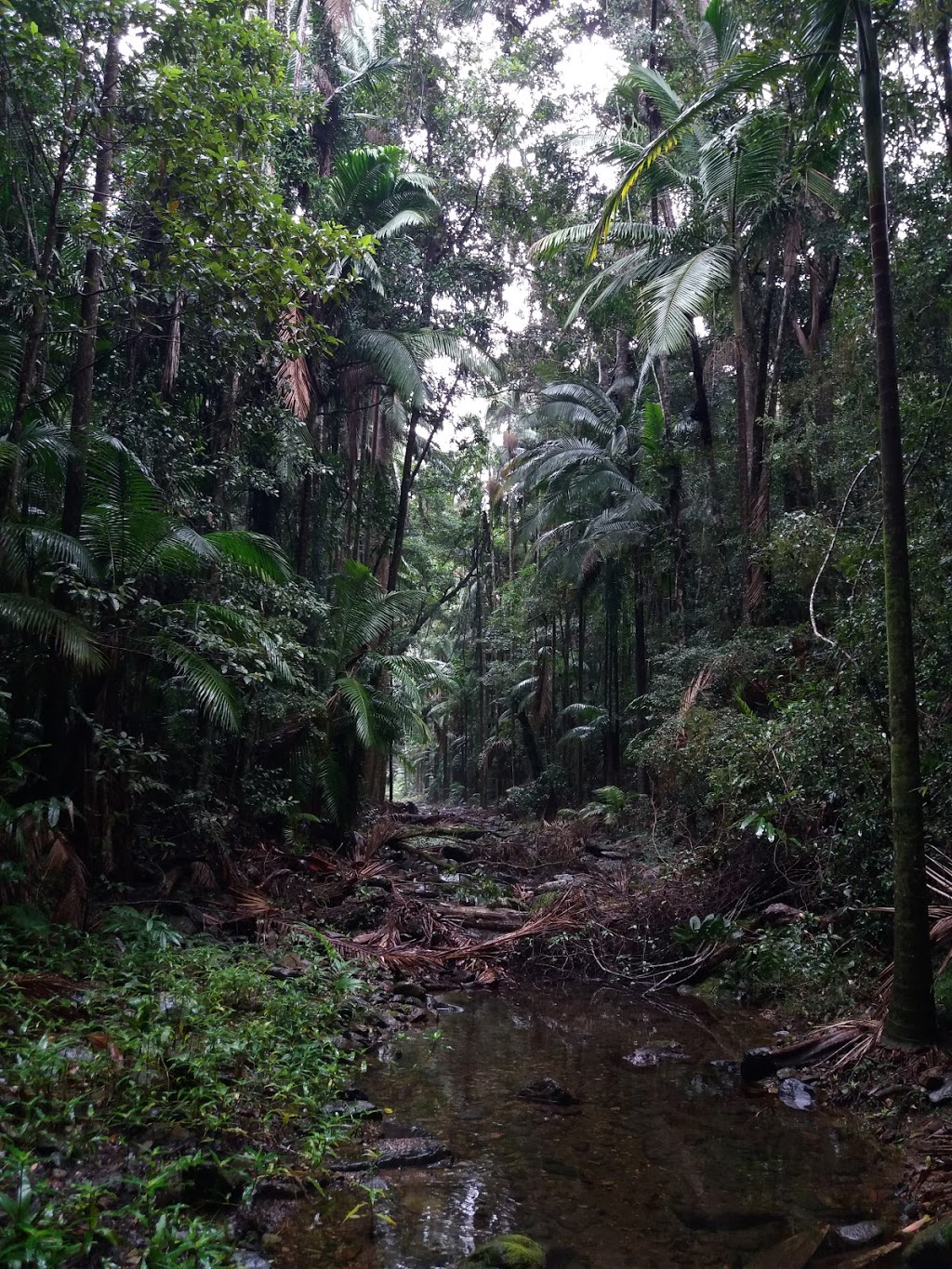 Conondale National Park | Conondale QLD 4552, Australia | Phone: 13 74 68