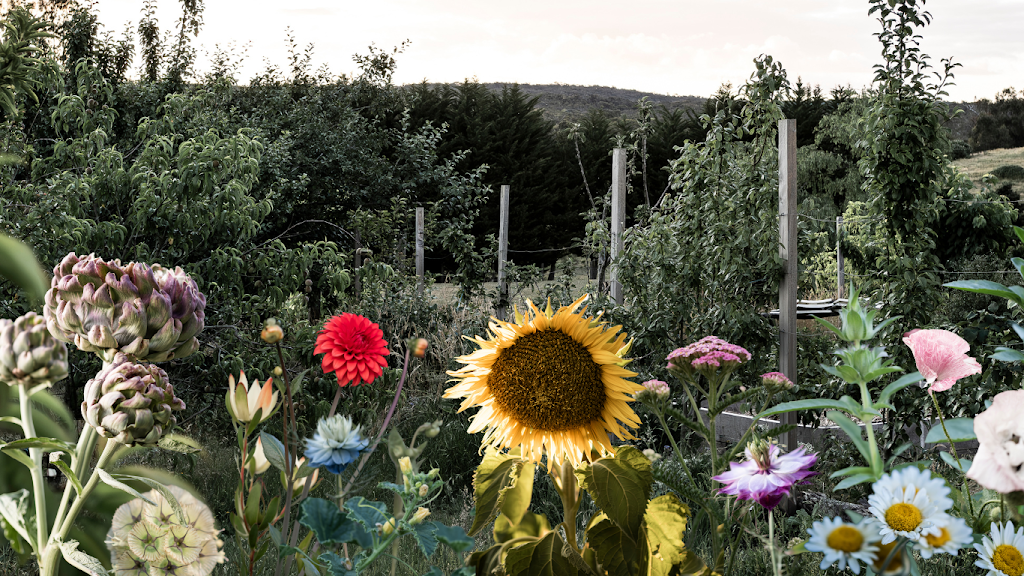 5 Acre Farm | 1871 Calder Hwy, Taradale VIC 3447, Australia | Phone: 0435 778 556