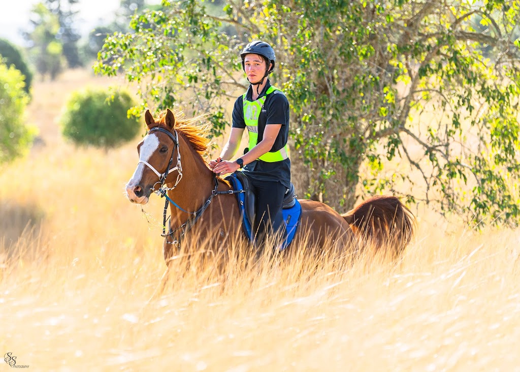 Nicker and Whinny Endurance Riding | 350 Grandview Rd, Pullenvale QLD 4069, Australia | Phone: 0401 060 012