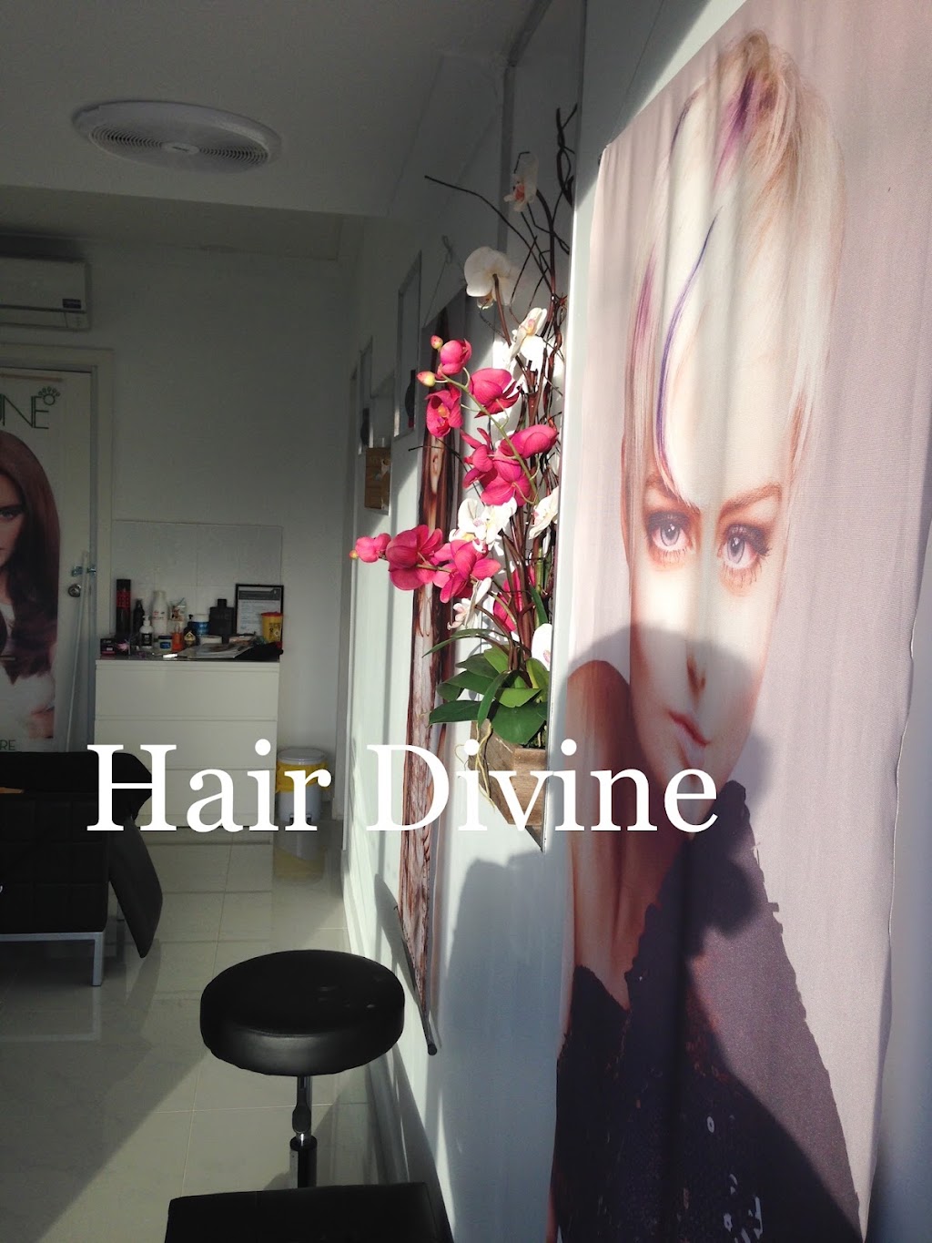 Hair Divine | Anfield Rd, Clyde North VIC 3978, Australia | Phone: 0425 133 190
